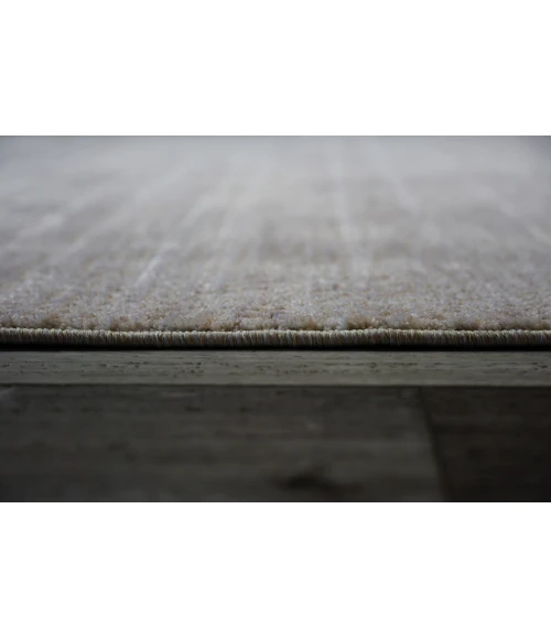 Dynamic Rugs OLIVIA Ivory/Grey 12732 2ft. 2in. x 7ft. Rect. Rug