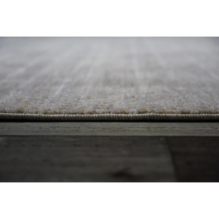 Dynamic Rugs OLIVIA Ivory/Grey 12732 5ft. 3in. x 7ft. 7in. Rect. Rug
