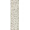 Dynamic Rugs QUARTZ Ivory/Silver 27039 2ft. 2in. x 7ft. 7in. Rect. Rug