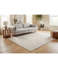 Dynamic Rugs QUARTZ Ivory 27040 9ft. 2in. x 12ft. 10in. Rect. Rug