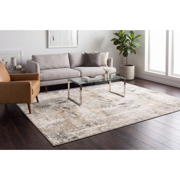Dynamic Rugs QUARTZ Ivory/Grey 27050 3ft. 11in. x 5ft. 7in. Rect. Rug