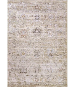 Dynamic Rugs ROJIN Grey/Beige/Multi 4180 2ft. 2in. x 7ft. 7in. Rect. Rug
