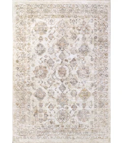 Dynamic Rugs ROJIN Grey/Beige/Multi 4181 2ft. 2in. x 7ft. 7in. Rect. Rug