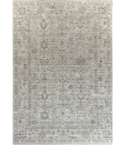 Dynamic Rugs SAFFRON Beige/Grey 16612 5ft. 3in. x 7ft. 6in. Rect. Rug