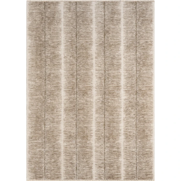 Dynamic Rugs SEQUENCE Beige/Dark Beige 18500 2ft. 7in. x 4ft. 11in. Rect. Rug