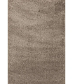 Dynamic Rugs SILKY SHAG Beige 5900 7ft. 10in. x 10ft. 10in. Rect. Rug