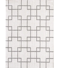 Dynamic Rugs SILKY SHAG Ivory/Silver 5901 2ft. x 3ft. 3in. Rect. Rug