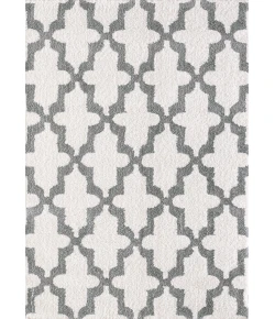 Dynamic Rugs SILKY SHAG White/Silver 5906 7ft. 10in. x 10ft. 10in. Rect. Rug