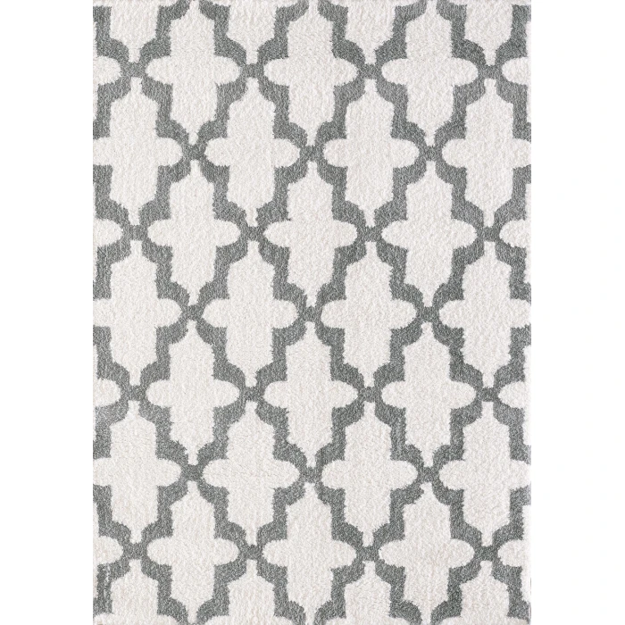 Dynamic Rugs SILKY SHAG White/Silver 5906 2ft. x 3ft. 3in. Rect. Rug
