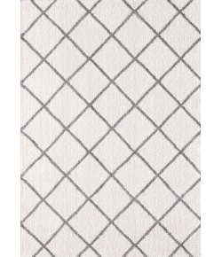 Dynamic Rugs SILKY SHAG Ivory/Silver 5920 2ft. x 3ft. 3in. Rect. Rug
