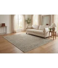 Dynamic Rugs SOLACE Beige/Cream/Grey 17921 5ft. 3in. x 7ft. 6in. Rect. Rug