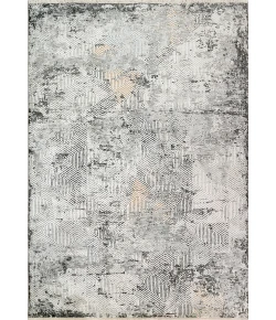 Dynamic Rugs SUNRISE Grey/Charcoal/Multi 6682 7ft. 10in. x 10ft. 8in. Rect. Rug