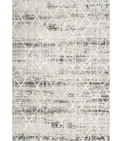 Dynamic Rugs TROYA Grey/Ivory 4604 7ft. 10in. x 10ft. 10in. Rect. Rug