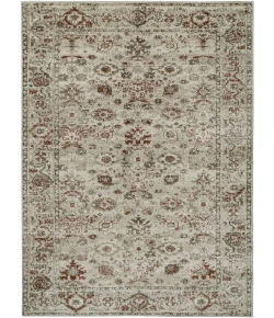 Dynamic Rugs VENEDIK Cream/Terra 17770 5ft. 3in. x 7ft. Rect. Rug