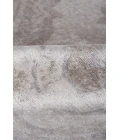 Exquisite Rugs Antique'd Silk Beige/Ivory 24316X9 6ft.X9ft. Rect. Rug