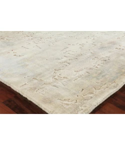 Exquisite Rugs Reflections Ivory/Soft Green 25131X16 1ft.X1ft.6in. Rect. Rug