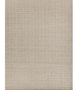 Exquisite Rugs Monroe Silk Light Gray 39716X9 6ft.X9ft. Rect. Rug