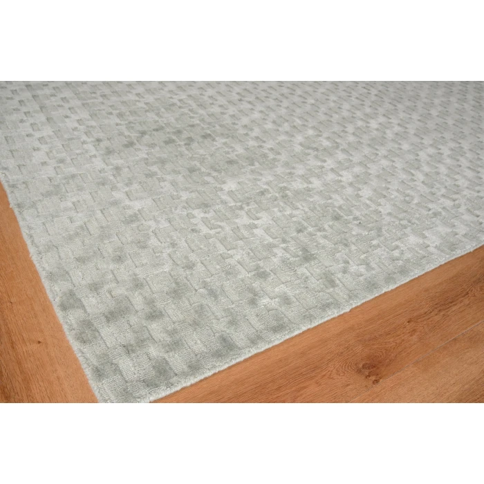 Exquisite Rugs Monroe Silk Light Green 39722X3 2ft.X3ft. Rect. Rug