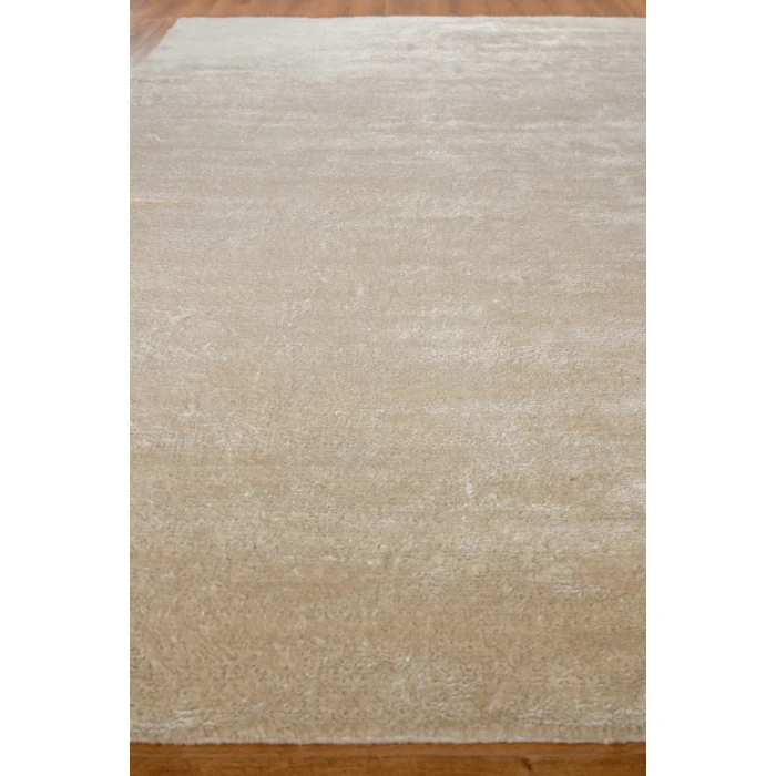 Exquisite Rugs Plush Ivory 43972X3 2ft.X3ft. Rect. Rug