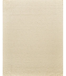 Exquisite Rugs Tocayo Ivory 45741X16 1ft.X1ft.6in. Rect. Rug