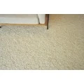Exquisite Rugs Tocayo Ivory 45741X16 1ft.X1ft.6in. Rect. Rug