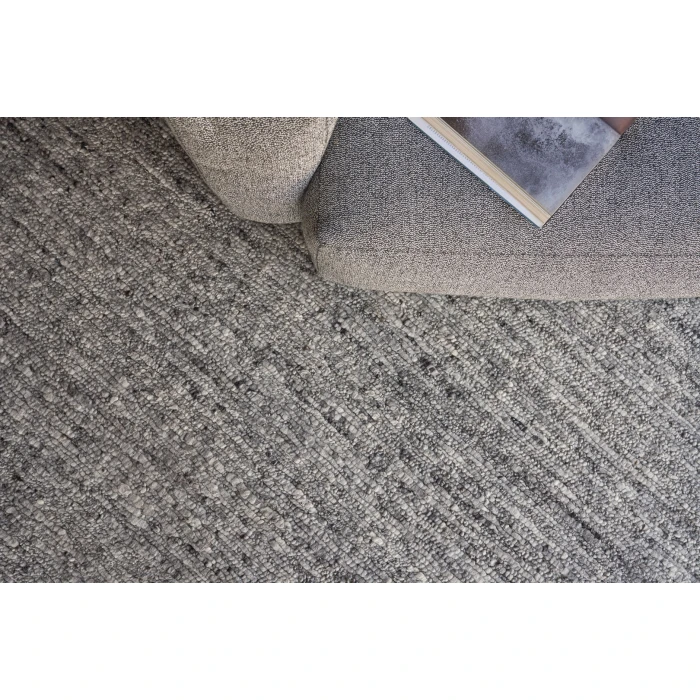 Exquisite Rugs Borelli Light Gray 47126X9 6ft.X9ft. Rect. Rug