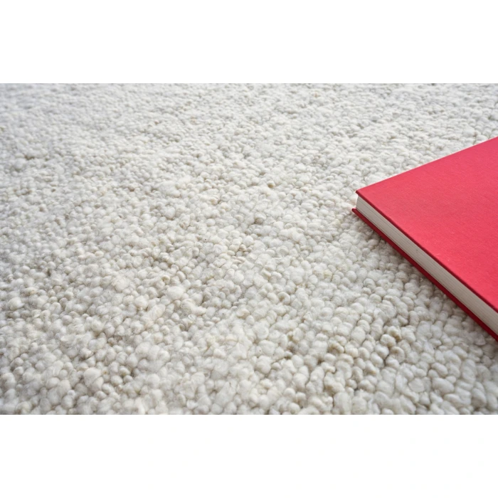 Exquisite Rugs Borelli Ivory 47502X3 2ft.X3ft. Rect. Rug