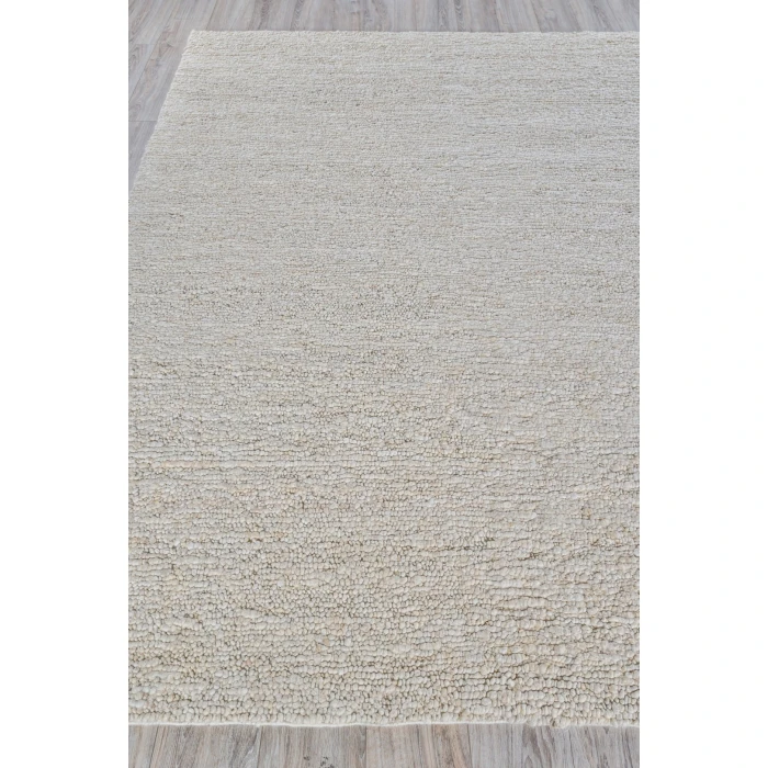 Exquisite Rugs Borelli Beige 47519X12 9ft.X12ft. Rect. Rug