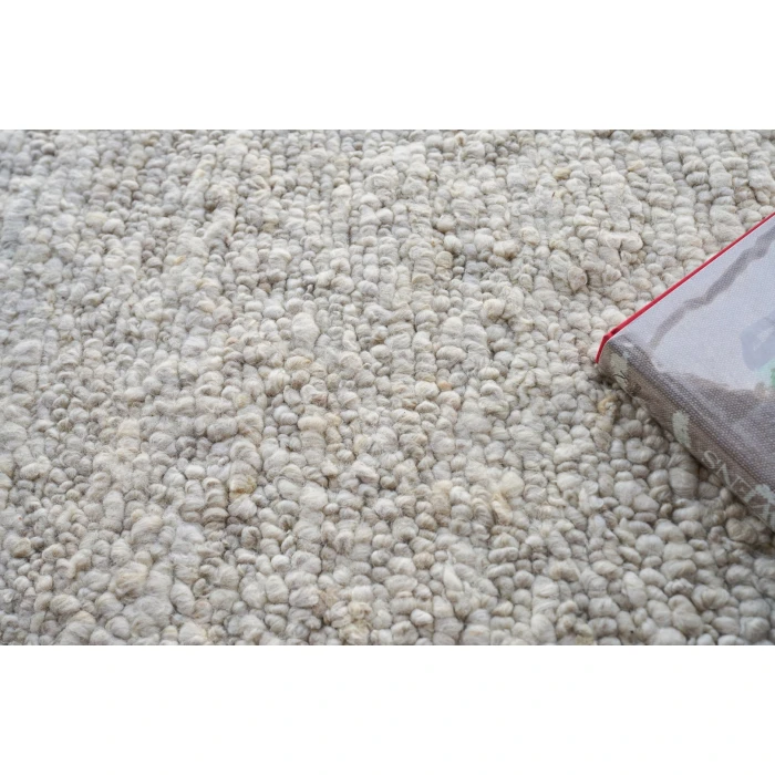 Exquisite Rugs Borelli Beige 47519X12 9ft.X12ft. Rect. Rug