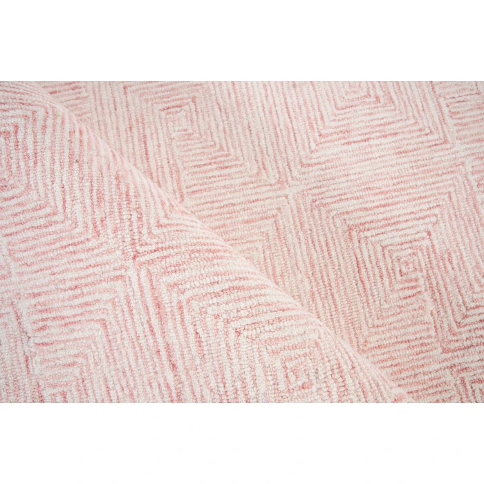 Exquisite Rugs Caprice Pink/Ivory 47726X9 6ft.X9ft. Rect. Rug