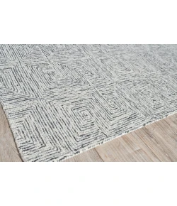 Exquisite Rugs Caprice Black/Ivory 47736X9 6ft.X9ft. Rect. Rug