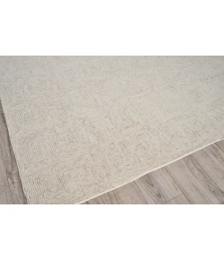 Exquisite Rugs Caprice Beige/Ivory 477513x13 13ft.x13ft. Square Rug