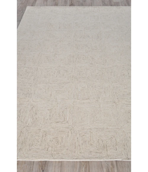 Exquisite Rugs Caprice Beige/Ivory 47754X6 4ft.X6ft. Rect. Rug