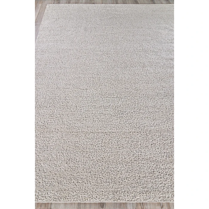 Exquisite Rugs Morello Ivory/Gray 47772X3 2ft.X3ft. Rect. Rug