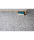 Exquisite Rugs Morello Ivory/Gray 47772X3 2ft.X3ft. Rect. Rug
