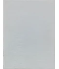 Exquisite Rugs Kashmir Ivory 485110X14 10ft.X14ft. Rect. Rug