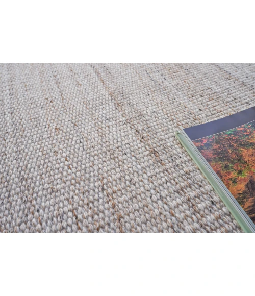 Exquisite Rugs Loro Light Beige 48582X3 2ft.X3ft. Rect. Rug