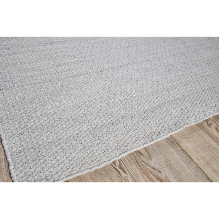 Exquisite Rugs Gamma Silver 48852X3 2ft.X3ft. Rect. Rug