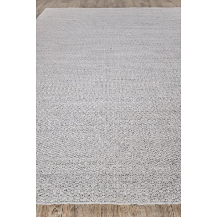 Exquisite Rugs Gamma Silver 48852X3 2ft.X3ft. Rect. Rug