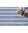 Exquisite Rugs Boca Ivory/Blue 48902X3 2ft.X3ft. Rect. Rug
