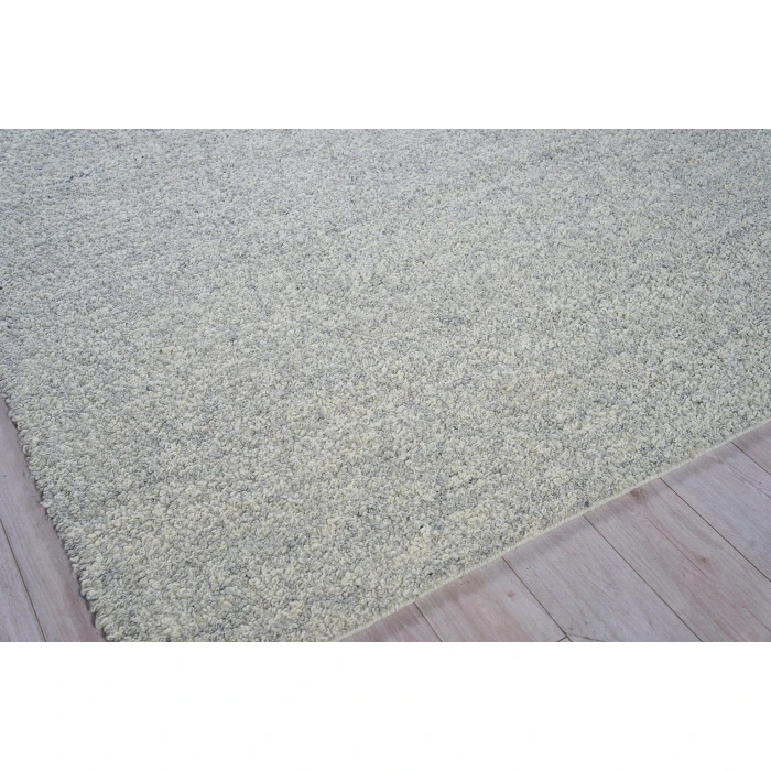 Exquisite Rugs Ferretti Light Gray/Ivory 57551X16 1ft.X1ft.6in. Rect. Rug
