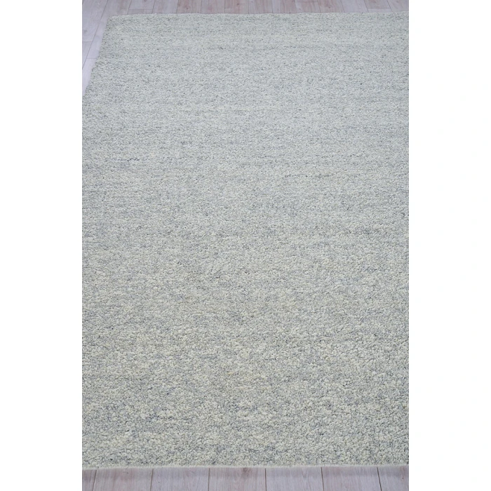 Exquisite Rugs Ferretti Light Gray/Ivory 57551X16 1ft.X1ft.6in. Rect. Rug