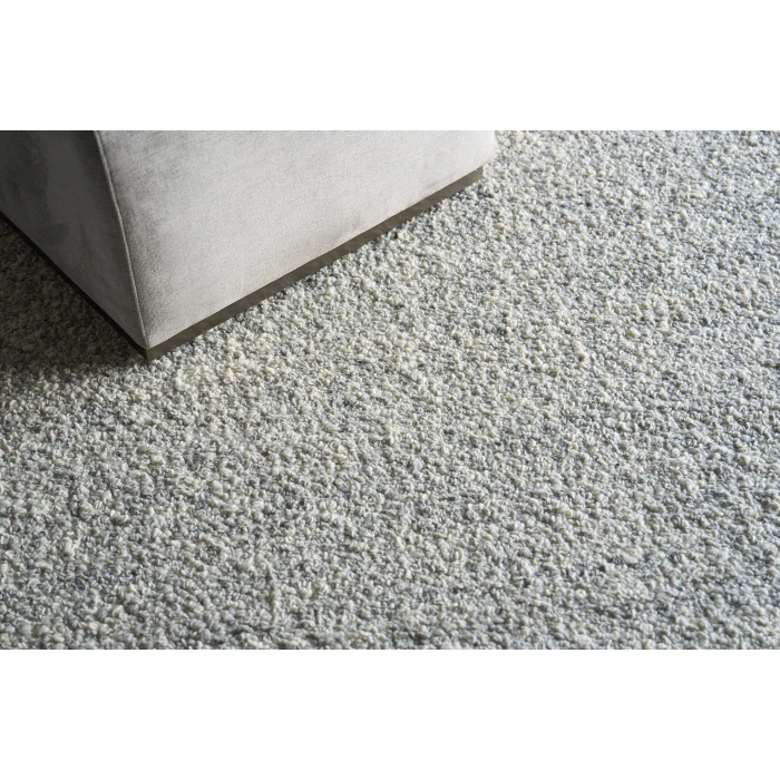 Exquisite Rugs Ferretti Light Gray/Ivory 57551X16 1ft.X1ft.6in. Rect. Rug