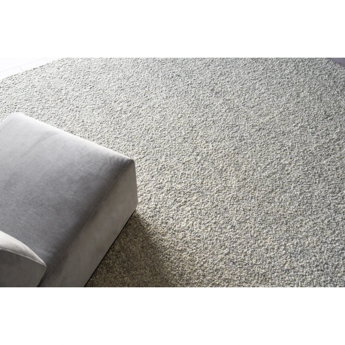 Exquisite Rugs Ferretti Light Gray/Ivory 57551X16 1ft.X1ft.6in. Rect. Rug