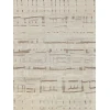 Exquisite Rugs Calexico Ivory/Beige 64308X10 8ft.X10ft. Rect. Rug