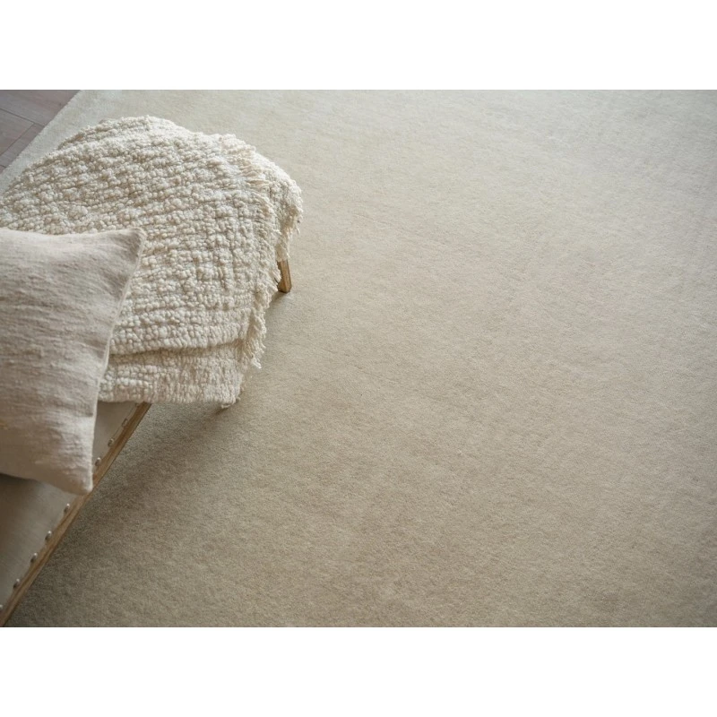 Exquisite Rugs Velutto Modern Light Beige 65414X6 4ft.X6ft. Rect. Rug