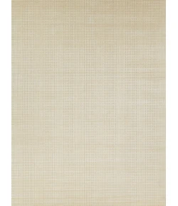 Exquisite Rugs Cabrini Modern Light Beige 673315X15 SQUARE 15ft.X15ft. SQUARE Square Rug