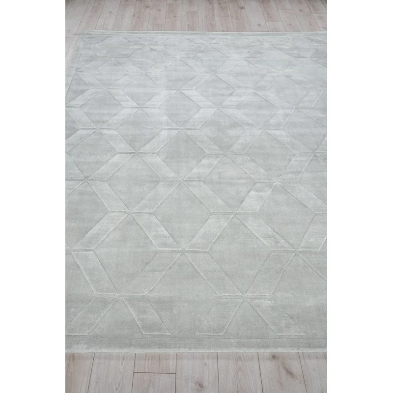 Exquisite Rugs Brunello Modern Light Silver 67366X9 6ft.X9ft. Rect. Rug