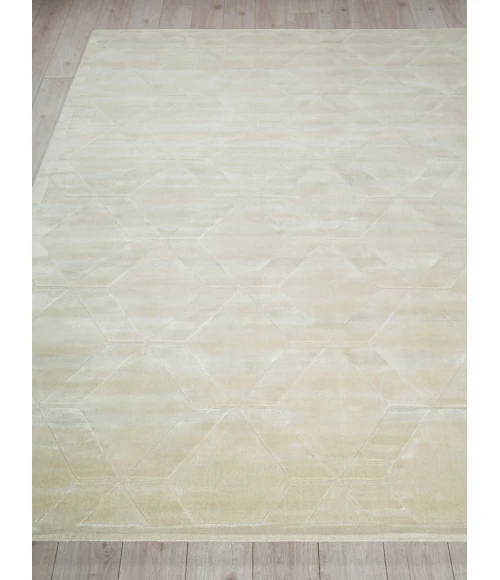 Exquisite Rugs Brunello Modern Light Beige 673914X14 SQUARE 14ft.X14ft. SQUARE Square Rug