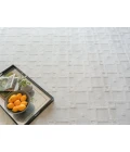 Exquisite Rugs Camora Modern White 67522X3 2ft.X3ft. Rect. Rug
